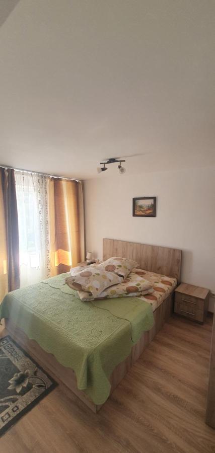 Hotel Casa Silvia Căpăţîneni-Ungureni Exteriér fotografie
