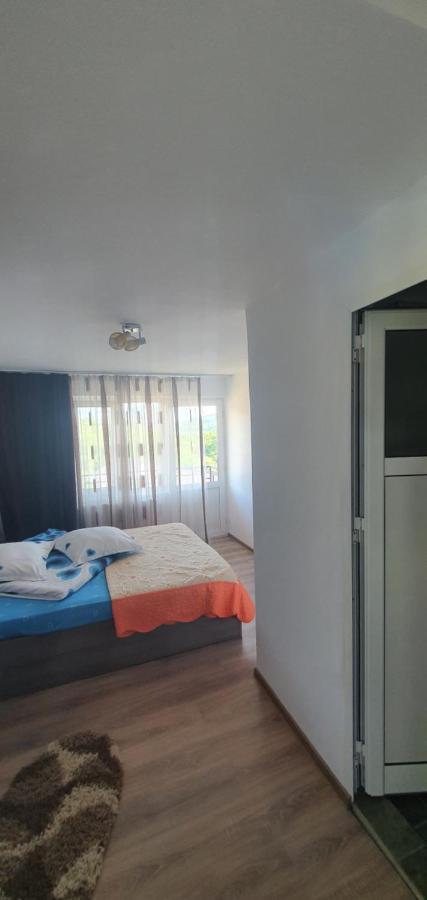 Hotel Casa Silvia Căpăţîneni-Ungureni Exteriér fotografie