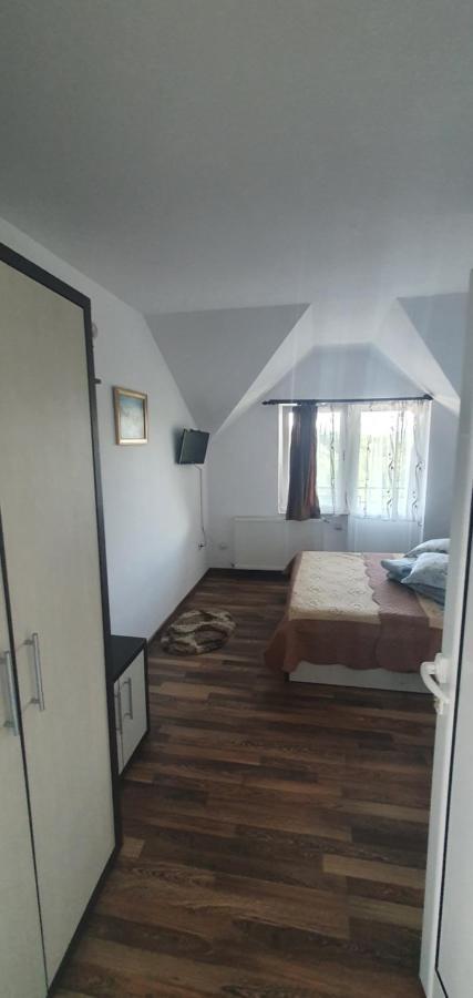 Hotel Casa Silvia Căpăţîneni-Ungureni Exteriér fotografie